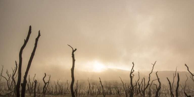 The Climate Question